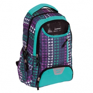 Kuprinė STARPAK 5493 (44.5cmX30.5cmX15cm) Backpacks for kids