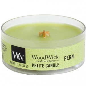 Kvapni žvakė WoodWick Fern 31 g 