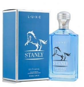 Kvepalai Estiara Stanly - EDP - 100 ml Perfumes for men