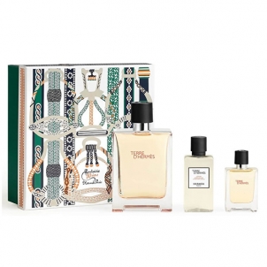 Kvepalai Hermes Terre D´ Hermes - EDT 100 ml + aftershave 40 ml + EDT 12.5 ml Perfumes for men