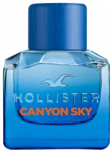 Kvepalai Hollister Canyon Sky For Him - EDT - TESTER - 100 ml Perfumes for men