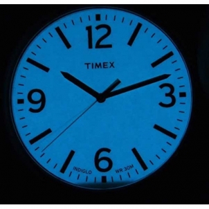 Laikrodis Timex Originals T2P526