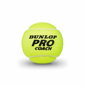 Lauko teniso kamuoliukai Dunlop PRO COACH 4-tube