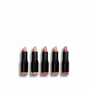 Lūpų dažai Revolution PRO Blushed Nudes lipstick set ( Lips tick Collection) 5 x 3.2 g Губная помада