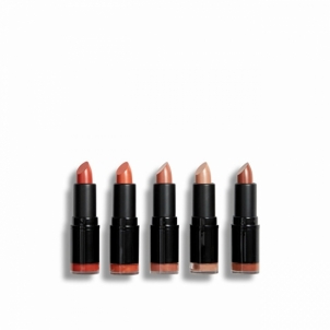 Lūpų dažai Revolution PRO Burnt Nudes lipstick set ( Lips tick Collection) 5 x 3.2 g Lūpų dažai