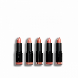 Lūpų dažai Revolution PRO Nudes lipstick set ( Lips tick Collection) 5 x 3.2 g Lūpu krāsas