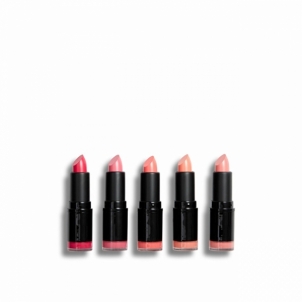 Lūpų dažai Revolution PRO Pink lipstick set ( Lips tick Collection) 5 x 3.2 g Губная помада