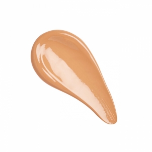 Makiažo pagrindas Revolution PRO Multifunctional make-up for dry to combination skin SPF 30 CC Cream Perfecting Foundation 26 ml