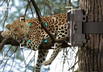 Medžioklės kamera SJCAM M50 taiga green