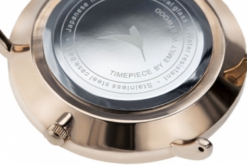 Moteriškas laikrodis Emily Westwood Sunray Silver Mesh LAM-2518S
