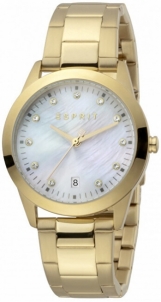 Moteriškas laikrodis Esprit Daphne ES1L197M1025