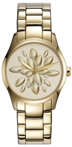 Moteriškas laikrodis Esprit Esprit TP10889 Gold ES108892003