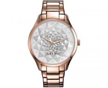 Women's watches Esprit Esprit TP10902 Rose Gold ES109022003