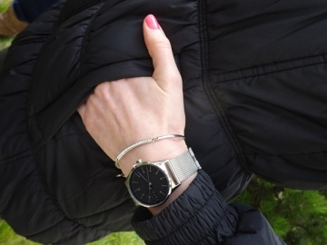 Women's watches Esprit Essential Black Silver Mesh ES1L034M0065