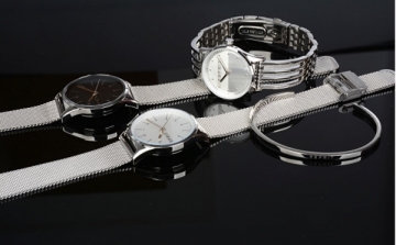 Women's watches Esprit Essential Black Silver Mesh ES1L034M0065