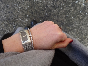 Moteriškas laikrodis Esprit Houston Lux Silver ES1L015M0015