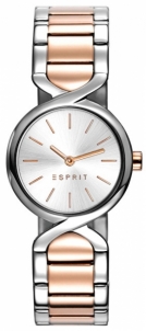 Women's watches Esprit TP10785 Two Tone Gold ES107852006