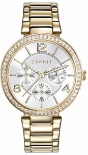Женские часы Esprit TP10898 GOLD ES108982002