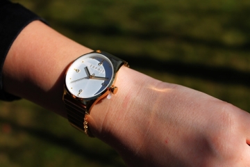 Женские часы Esprit VinRose Silver Gold Polish ES1L032E0075