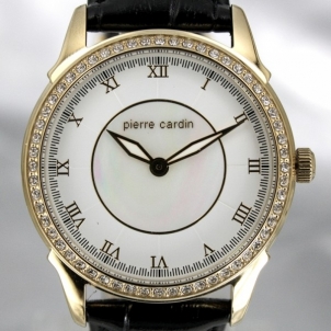 Moteriškas laikrodis Pierre Cardin PC106062F06