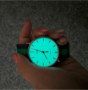 Moteriškas laikrodis Timex Weekender Fairfield TW2P98100