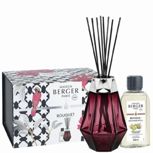 Namų kvapas Maison Berger Paris Prisme garnet diffuser stick gift set + Divočina refill 200 ml 