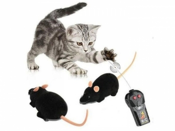 Nuotolinio valdymo pelė