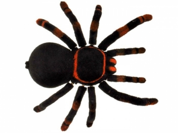 Nuotoliniu būdu valdomas voras, Juodoji našlė