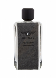 Parfumuotas vanduo Bentley Momentum Unbreakable Eau de Parfum 100ml Духи для мужчин