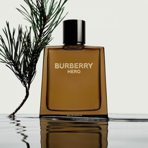 Parfumuotas vanduo Burberry Burberry Hero - EDP - 100 ml