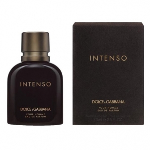 Parfumuotas vanduo Dolce & Gabbana Intenso Pour Homme EDP 40ml