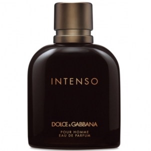 Parfimērijas ūdens Dolce & Gabbana Pour Homme Intenso EDP 125ml 