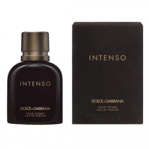 Parfumuotas vanduo Dolce & Gabbana Pour Homme Intenso EDP 200 ml