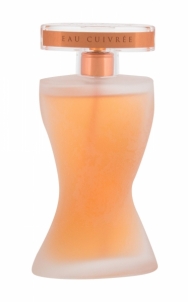 Perfumed water Montana Suggestion Eau Cuivree EDP 100ml Perfume for women
