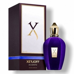 Perfumed water XerJoff Accento - EDP - 100 ml 