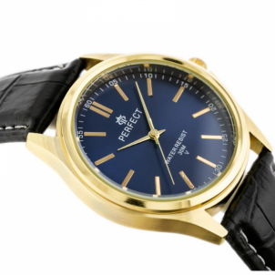 Vyriškas laikrodis PERFECT A4024-IPG-001