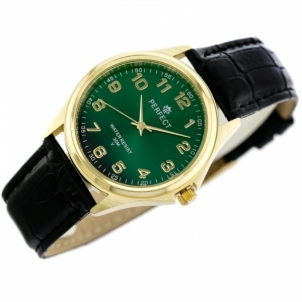 Vyriškas laikrodis PERFECT C425-G402
