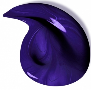 Plaukų šampūnas Loreal Paris Elseve Color-Vive Purple (Shampoo) 200 ml 