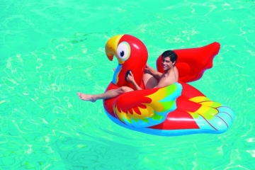 Pripučiamas vandens žaislas Bestway Parrot Ride On Fashion 41127 203x132cm