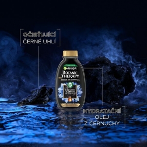 Shampoo Garnier Botanic Therapy Magnetic Charcoal Cleansing Shampoo ( Balancing Shampoo) - 400 ml