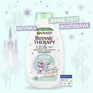 Šampūnas Garnier Ice Kingdom Botanic Therapy Oat Delicacy (Shampoo & Detangler) 400 ml