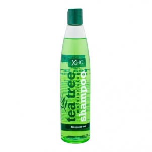 Šampūnas plaukams Xpel Hair Care Tea Tree Moisturising Shampoo Cosmetic 400ml Šampūni