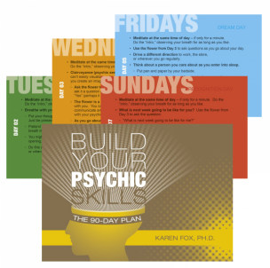 Taro kortos Build Your Psychic Skills: The 90-Day Plan kortos Schiffer Publishing 