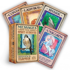 Taro kortos Messages From Your Animal Spirit Guides Oracle kortos Hay House 