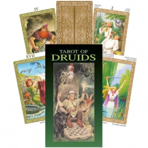 Taro Kortos Tarot Of Druids