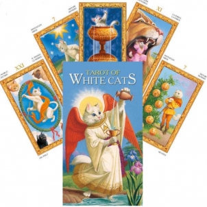Taro Kortos Tarot Of White Cats