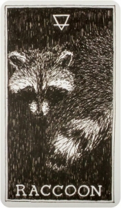 Taro kortos The Wild Unknown Animal Spirit Oracle kortų ir knygos rinkinys Harper One