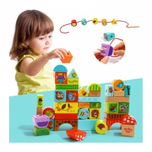 Tooky Toy medinių kaladėlių rinkinys, miško tematika Mediniai žaislai