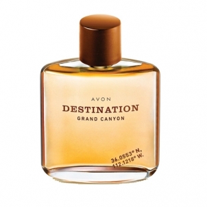 eau de toilette Avon Destination Grand Canyon EDT 75 ml Perfumes for men