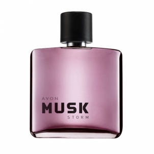 eau de toilette Avon Musk Storm 75 ml Perfumes for men